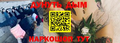 прущие грибы Чапаевск